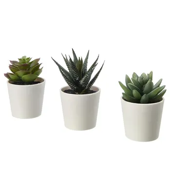 Искусственное растение и кашпо, Фейка, Fejka, суккуленты, 6 см, 3 шт.,  IKEA, 20395345 | отзывы