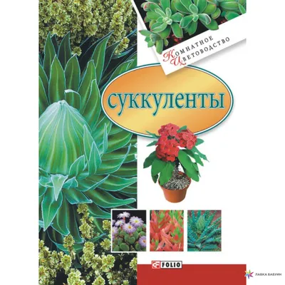 Суккуленты, Т. Н. Дорошенко, Фолио купить книгу 978-966-03-3717-6 – Лавка  Бабуин, Киев, Украина