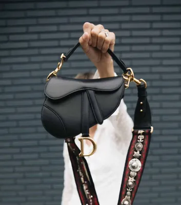 How to take care of Saddle bag by Dior? - Tarrago