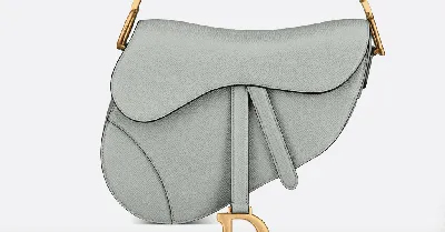 Expert Authentication Guide: Dior Saddle Bag (2024)