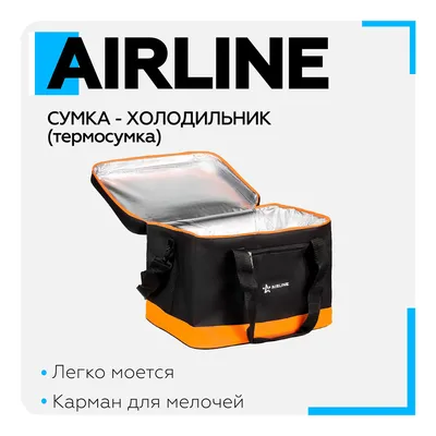 Термосумка Сумка-холодильник 40л купить по цене 2564.15 ₽ в  интернет-магазине KazanExpress