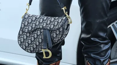 Dior Book Tote – The Little Bird