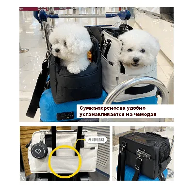 Переноска для собак в самолет
