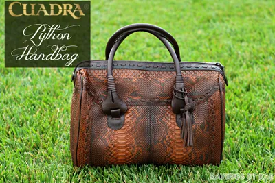 Python Hand Bag from CUADRA + OOTD - Sarah Rae Vargas