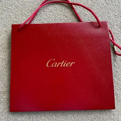 THE MOST BEAUTIFUL CARTIER HANDBAG | Panthère de Cartier Unboxing and First  Impressions | Erin Cara - YouTube