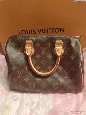 Коллекция сумок Louis Vuitton сезона осень-зима 2023/24 | С подиума в  жизнь! | Дзен