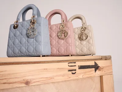 Discover the Brand New Dior Toujours Bag - PurseBlog