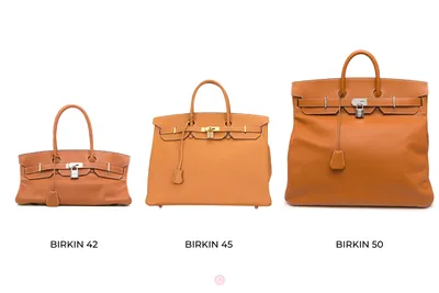 Hermes Picnic Birkin 25 Rouge Sellier Swift Palladium Hardware – Madison  Avenue Couture