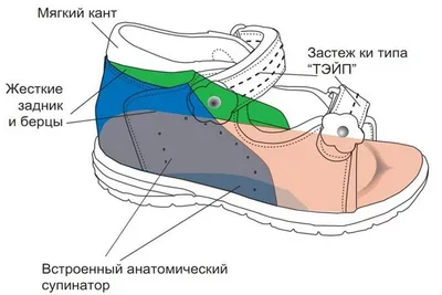 Выбирай, но проверяй