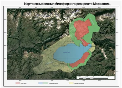 Мех норки. Виды и цвета норок. Качество меха норки. Мировые марки.