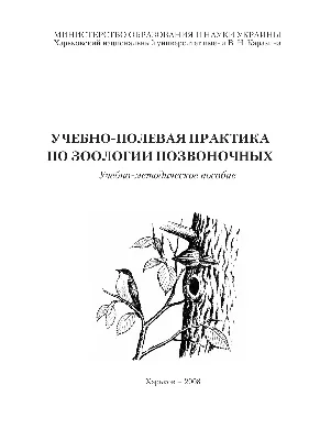 Бобрик. Он же - «норка», «шиншилла» и кролик породы рекс