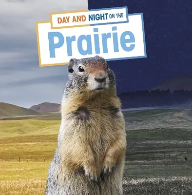 Day and Night on the Prairie цена | pigu.lt