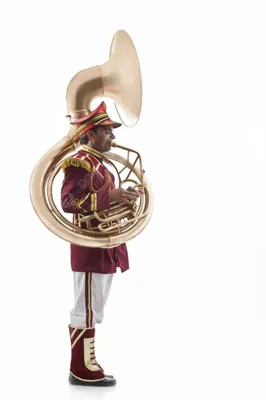 https://ru.pngtree.com/freebackground/bandmaster-playing-a-sousaphone-vector_2264206.html