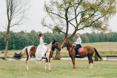 Пары свадьбы на лошадях стоковое изображение. изображение насчитывающей  женщина - 44452953