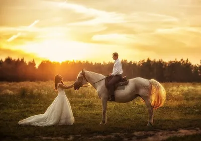 Свадебная фотосессия с лошадьми | Свадебные фотографии, Лошадь свадьба,  Свадебный снимок