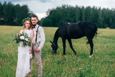 Очень необычная свадьба на лошадях» — создано в Шедевруме