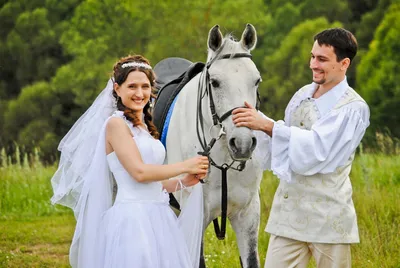 Лошади на свадьбу | Конный клуб «Кардинал»