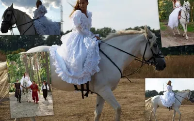 Фото с лошадьми и вид на закат: стало известно, где можно устроить отличную  загородную свадьбу - 25 сентября 2019 - e1.ru