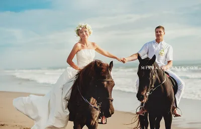 Пары свадьбы на лошадях стоковое изображение. изображение насчитывающей  пары - 44748255