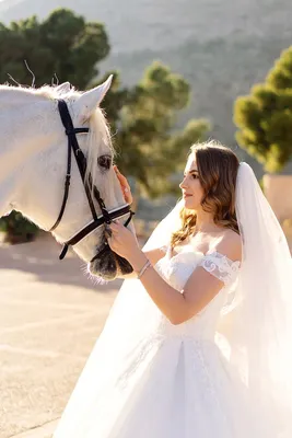 Статьи, Лошадь на свадьбе: ожидание vs реальность | Prokoni.ru