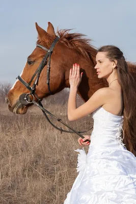 Пары свадьбы на лошадях стоковое фото. изображение насчитывающей люди -  44863540