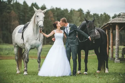 Свадьба верхом на лошади - 69 фото