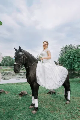 Свадьба на лошадях фотографии