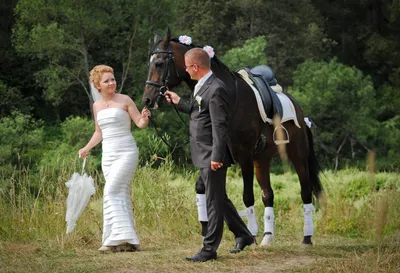 Цыганская свадьба, лошадь с повозкой…» — создано в Шедевруме