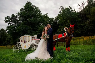 Зимняя свадьба на лошадях :: Наталья – Социальная сеть ФотоКто