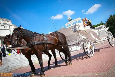 Пары свадьбы на лошадях стоковое фото. изображение насчитывающей потеха -  44420210
