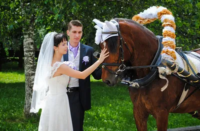 Пары свадьбы на лошадях стоковое изображение. изображение насчитывающей  одежда - 44452945