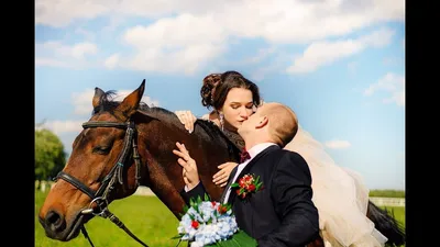 Карета с лошадьми на праздничные мероприятия: свадьбу, корпоратив, день  рождения в Москве и Подмосковье, прокат, аренда