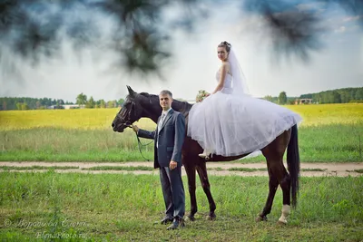 Фотогалерея свадебных фотографий с лошадьми