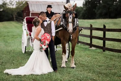 Счастливая подкова: свадьба в тематике конного спорта - Weddywood