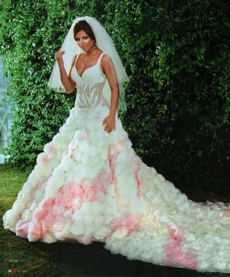 ani lorak | Wedding dresses images, Amazing wedding dress, Wedding dress  pictures