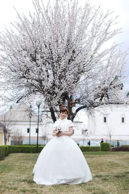 СВАДЕБНЫЙ САЛОН «SOUL WEDDING» | АСТРАХАНЬ (@soul_wedding_30) • Instagram  photos and videos