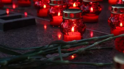 Свеча памяти в каждом окне»: краснодарцы смогут почтить память ветеранов  Великой Отечественной войны :: Krd.ru