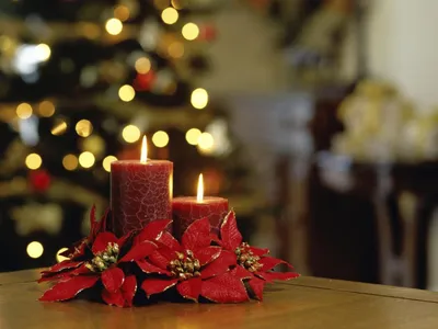 Новогодние свечи на фоне новогодней ели - обои на рабочий стол