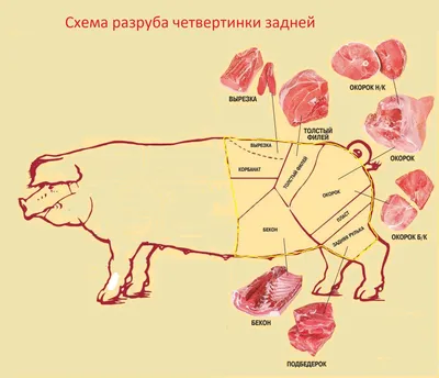 Продам: рулька свиная задняя \"семидаль\" в Москве