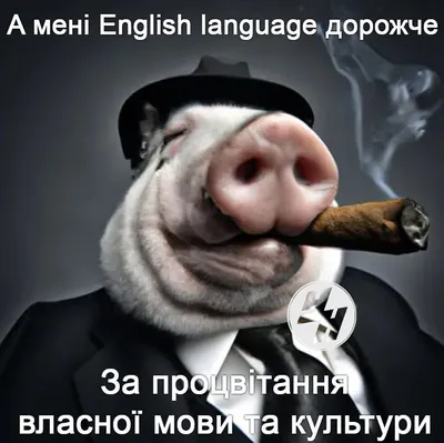 Инфекция гуляет по району – свиньи в опасности | Ганцавіцкі час