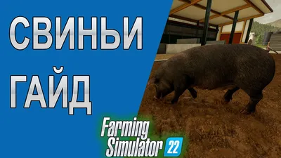 Farming Simulator 22 - 🐷 Свиньи // Как это работает - YouTube