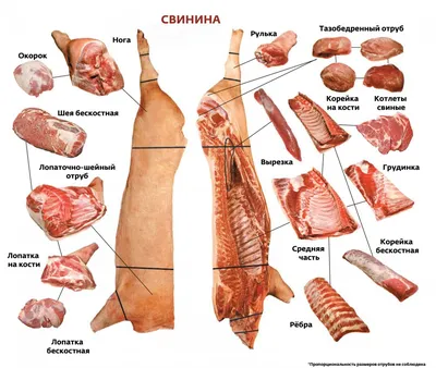 Целом Свинья С Разрезом И Барбекю — стоковые фотографии и другие картинки  Барбекю - Барбекю, Барбекюшница, Без людей - iStock