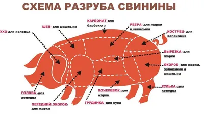 Как правильно разделывать поросёнка | MKM канал про всё. | Дзен