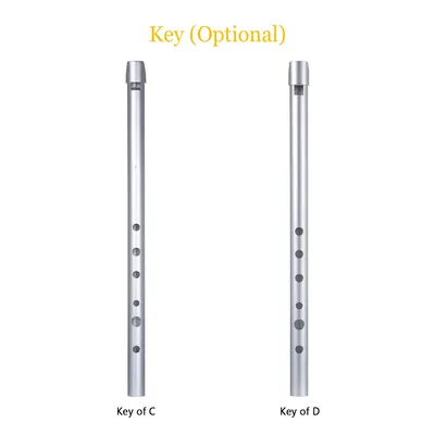 Ирландский свисток, традиционный жестяной Пенни свисток с 6 отверстиями,  музыкальный инструмент для начинающих, промежуточные и экспертные-Ключ C D  - купить по выгодной цене | AliExpress