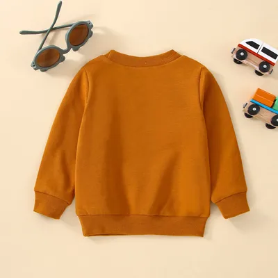 Boys Cotton Cable-Knit Hoodie Sweater