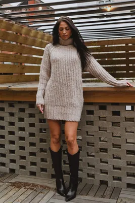 Bailey Turtleneck Sweater Dress – These Days