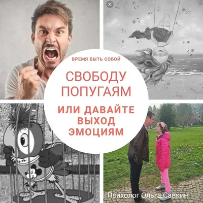 свободу попугаям.... - Изобразительное искусство - Карандаш, ручка,  фломастер.