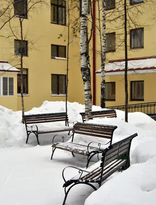 Город, засыпанный снегом» – Новости – Окна роста – Национальный  исследовательский университет «Высшая школа экономики»