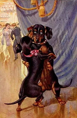 такса смешные картинки: 20 тыс изображений найдено в Яндекс.Картинках |  Dachshund art, Cute dog pictures, Vintage dachshund