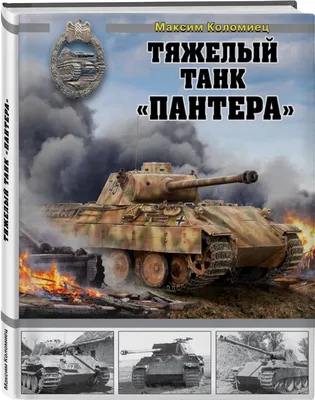 Танк \"Пантера\", построенный на российской платформе - PICRYL Изображение в  общественном достоянии